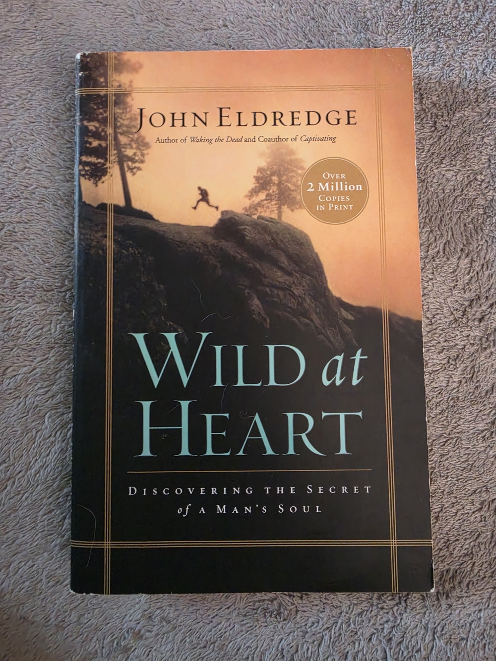 "Wild at Heart" Paperback Book - By John Eldredge
